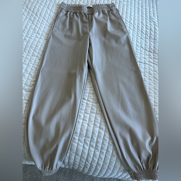 Aritzia Vegan leather pants. - Picture 1 of 2